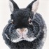 20120204232029-peek_a_boo-ester_curini