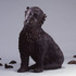 20120205000553-boweewowee_300dpi