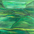 20120205002335-crop2570