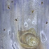 20120205015326-alone_500px