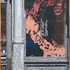 20120205043444-red_dragon