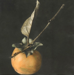 Fuji Persimmon, 2003,, ,Brigitte Carnochan