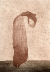 Untitled,Henrieke Strecker