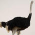 20120205160617-08_shrigley_tours