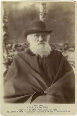 Charles Darwin by Elliott & Fry  ,