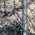 20120205173800-snag