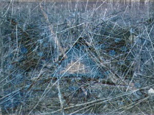 20120205174117-tumulus
