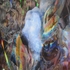 20120205190800-song_02__2011__36_x_28_inch