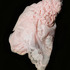 20120205195534-2006-cocoon-plstouch-alt4