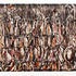 20120205200531-schneckloth2