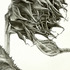 20120205201505-before_summer