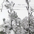 20120205202036-trachokspringleaves