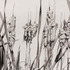20120205202536-cattails_in_the_fall