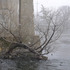 20120205202646-winter_geneva_8