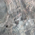 20120205222550-03tneucollins