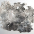 20120205222950-06tneucollins