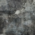 20120205223023-07tneucollins