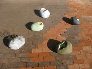 20120205232113-img_4669