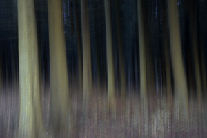 20120206132529-img_2726