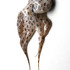 20120206185454-etrangere-charwei-tsai