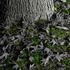 20120206205756-dec