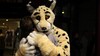 20120207004825-alarsson_animal05_lr
