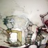 20120207015439-some_bodies
