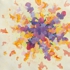 Cliu-madbloom