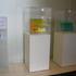 20120207033429-dscn5673