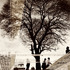 20120207033548-whats_up_as_8788