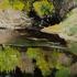 20120207034235-a_little_place_of_wonder_on_the_creekbank