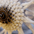 20120207040304-thecrystalbikeblanket6