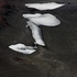 20120207051149-chile_s_268