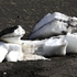 20120207051325-chile_s_282
