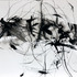 20120207151227-2008-46x61-3-w