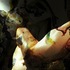 20120207152331-photography_capture_de_corps_2011__55x90