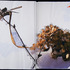20120207154548-jt_sktchbk_flwrs