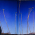 20120207154838-jt_sktchbk_stalks