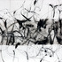 20120207155040-2007_56x76_5