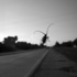 20120207164907-bayou_critter_2010
