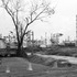 20120207165431-fleur_de_lis__norco__