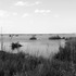 20120207165833-off_paris_road_chalmette_la