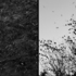 20120207165934-oiled_marsh_and_songbirds