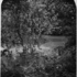 20120207183346-wagner_cove__central_park__new_york_city__2006