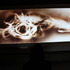 20120207204725-img_2152