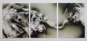 20120207205954-triptychforwebsite