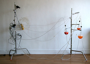 20120207212717-image_1