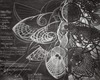 20120208015048-mobius_ii-lhc