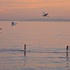 20120208013558-harmony