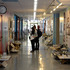 20120208020703-slideshow_103_4_4e8f568ecefd3_dsc_2717
